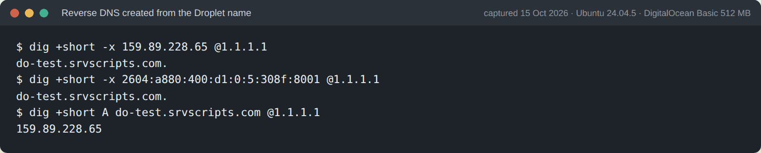 dig output: the IPv4 and IPv6 addresses of the Droplet both have the PTR record do-test.srvscripts.com, created from the Droplet name